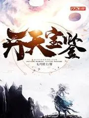 開天寶鑑
