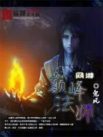 網(wǎng)遊之巔峰法師