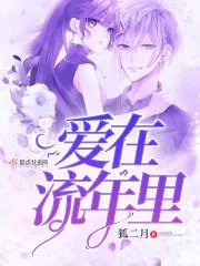 愛(ài)在流年裡