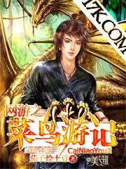 網(wǎng)遊之菜鳥遊記
