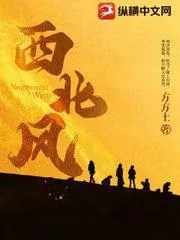 西北風(fēng)