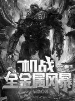 機戰：全金屬風暴