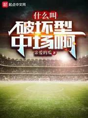 什么叫破壞型中場啊