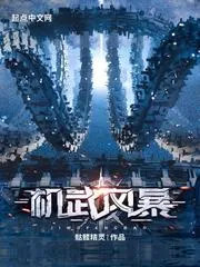 機(jī)武風(fēng)暴