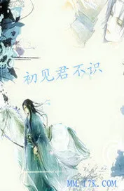 初見君不識