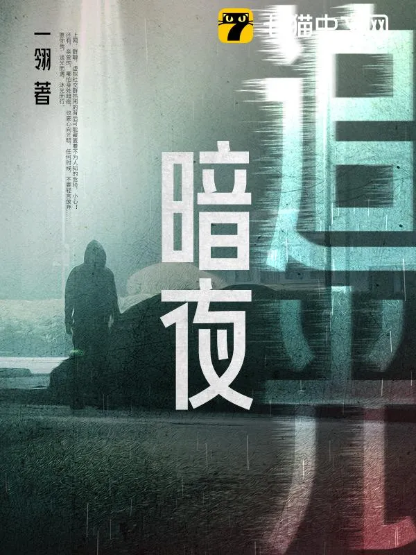 暗夜追光