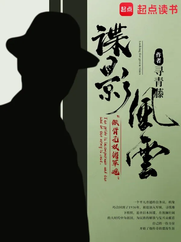 諜影風雲