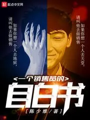 一個(gè)銷售員的自白書