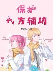 保護(hù)我方輔助