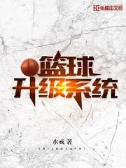 籃球升級系統
