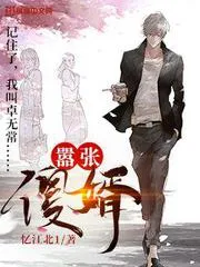 囂張傻婿