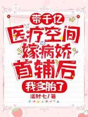 帶千億醫療空間嫁病嬌首輔後，我多胎了