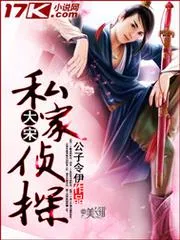大宋私家偵探