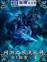 網(wǎng)遊之風(fēng)流死騎