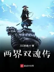 兩界雙魂傳