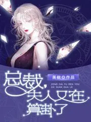 總裁，夫人又在算卦了