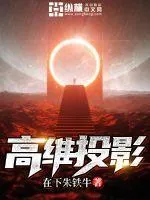 高維投影