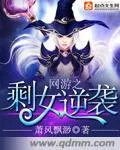 網(wǎng)遊之剩女逆襲